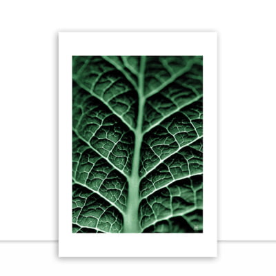 Quadro Plants Green I por Joel Santos -  CATEGORIAS