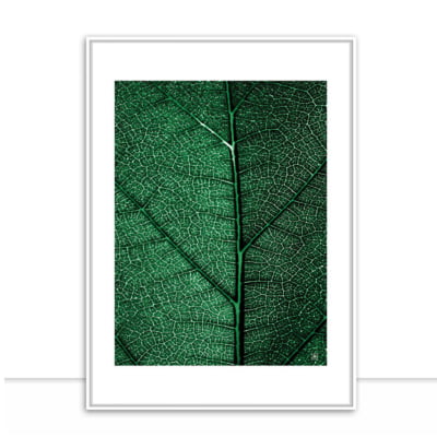 Quadro Plants Green II por Joel Santos -  CATEGORIAS
