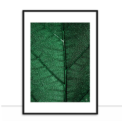 Quadro Plants Green II por Joel Santos -  CATEGORIAS