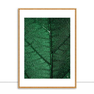 Quadro Plants Green II por Joel Santos -  CATEGORIAS