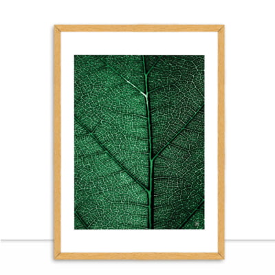Quadro Plants Green II por Joel Santos -  CATEGORIAS