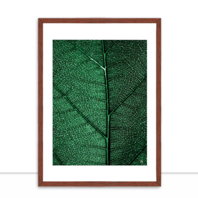 Quadro Plants Green II por Joel Santos -  CATEGORIAS