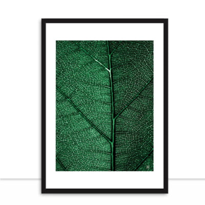 Quadro Plants Green II por Joel Santos -  CATEGORIAS