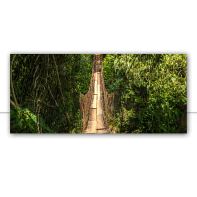 Quadro Ponte de madeira parque nacional brasil por Pignata -  CATEGORIAS