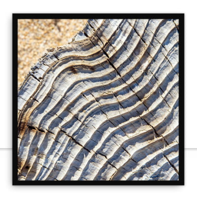 Quadro Sea Wood por Erica Kogiso -  CATEGORIAS