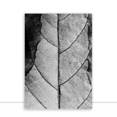 Quadro Small Leaf por Renato Muniz -  CATEGORIAS