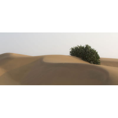 Quadro Thar Desert India por Felipe Hoffmann