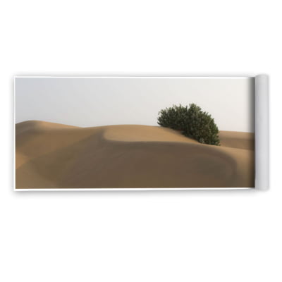 Quadro Thar Desert India por Felipe Hoffmann -  CATEGORIAS