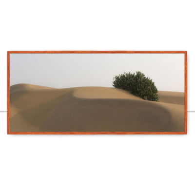 Quadro Thar Desert India por Felipe Hoffmann -  CATEGORIAS