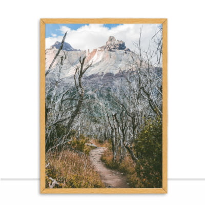 Quadro Torres Del Paine 06 por Patricia Schussel Gomes -  CATEGORIAS