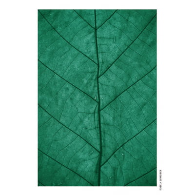 Quadro Verde 01 por Isabela Schreiber -  CATEGORIAS