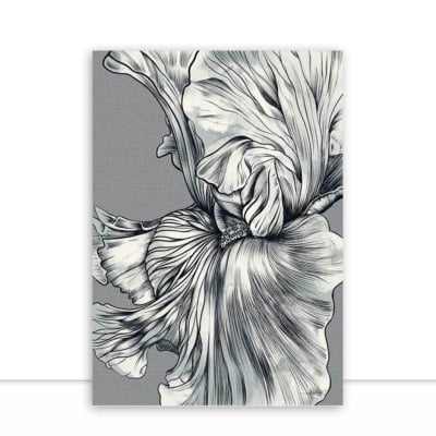 Quadro White Flower por Joel Santos -  CATEGORIAS