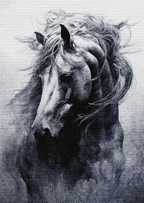 Quadro White horse por Renato Muniz