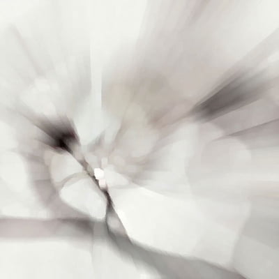 Quadro White Zoom I por Patricia Costa