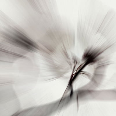 Quadro White Zoom por Patricia Costa