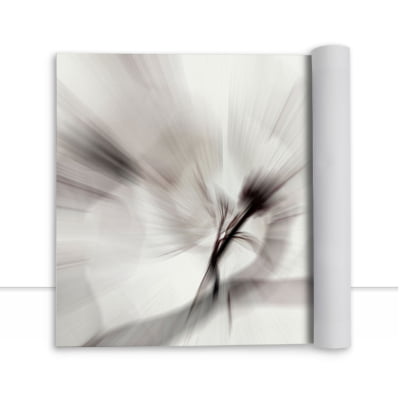 Quadro White Zoom por Patricia Costa -  CATEGORIAS