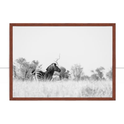 Quadro Zebra Lado A -  CATEGORIAS