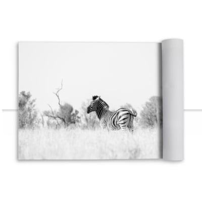 Quadro Zebra Lado B por Marcelo Baldin & Sâmia Munaretti -  CATEGORIAS