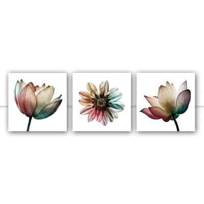 Conjunto de Quadros Trio Multicolor Flower Q por Juliana Bogo 