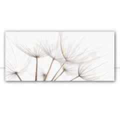 Quadro Dandelion Sepia pan por Juliana Bogo