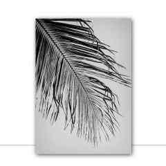 Quadro Palmeira em Contraluz 3 por Edmoraes