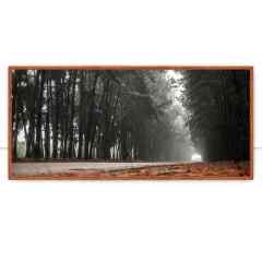 Quadro Pinheiro névoa estrada linda cena por Pignata - CATEGORIAS