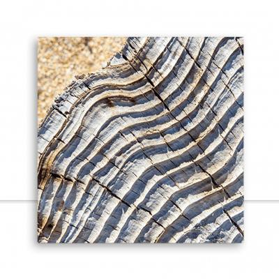 Quadro Sea Wood por Erica Kogiso 
