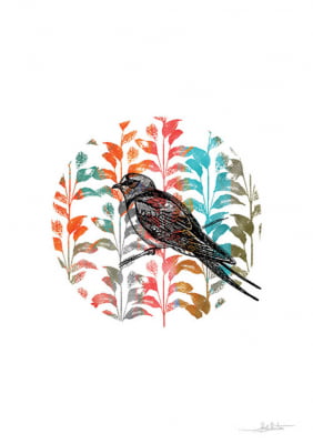 Silk Birds I por Joel Santos -  CATEGORIAS
