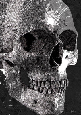 Skull Trace II por Joel Santos