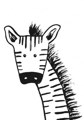 Zebra Baby por Joel Santos